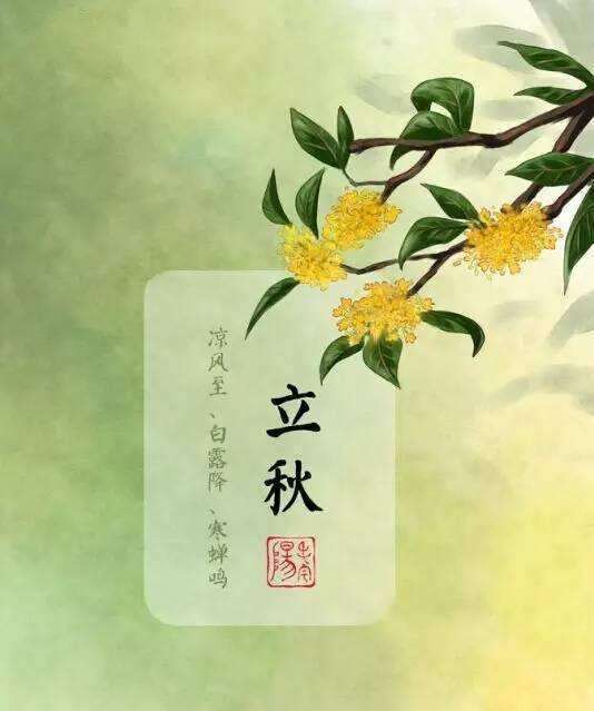 第347页