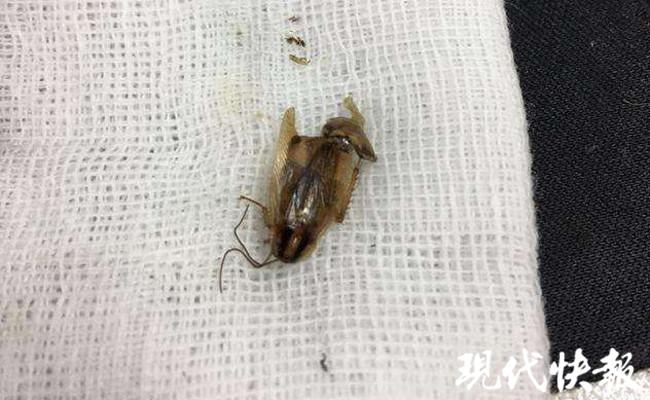 娱乐生活 第51页